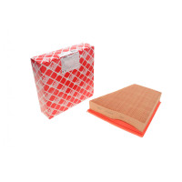 Фильтр воздушный Skoda Fabia/Roomster /VW Polo 1.2/1.4i 99-14 - 24394 FEBI BILSTEIN