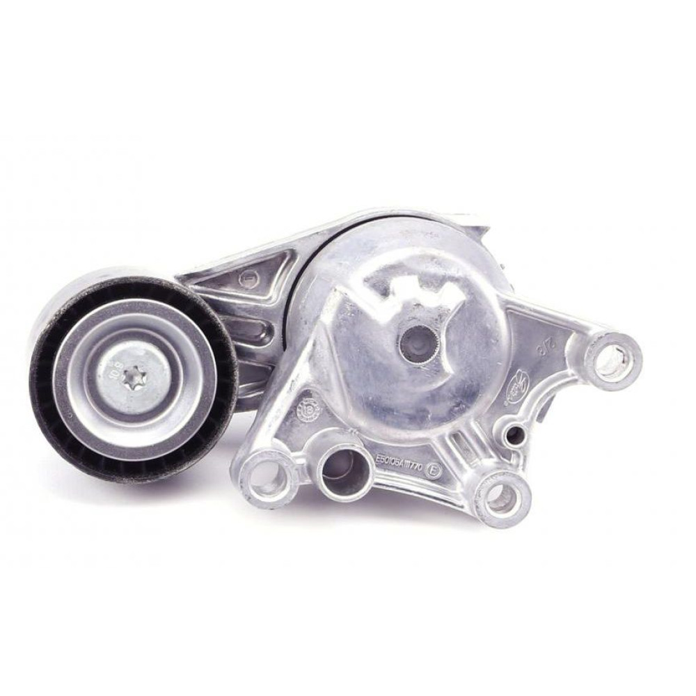 Натяжник ременя генератора Citroen Berlingo 1.6HDi 08- APV3797 DAYCO