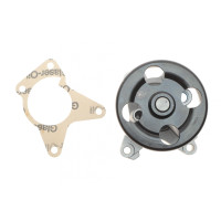 Насос воды Renault Clio/Laguna III/Megane III/Scenic III 2.0 06-, M4R 711/713/710 538 0524 10 INA