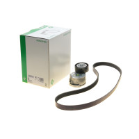 Комплект ремня генератора Ford Galaxy/Mondeo 2.0 TDCi 06-15 6PK1245 529 0222 10 INA