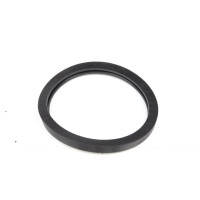 Прокладка термостата Renault/Volvo 394.090 ELRING