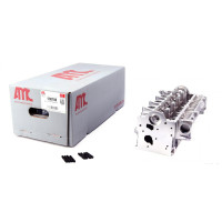 Головка блоку циліндрів Renault Megane/Scenic 1.5dCi 09- 908788 AMC