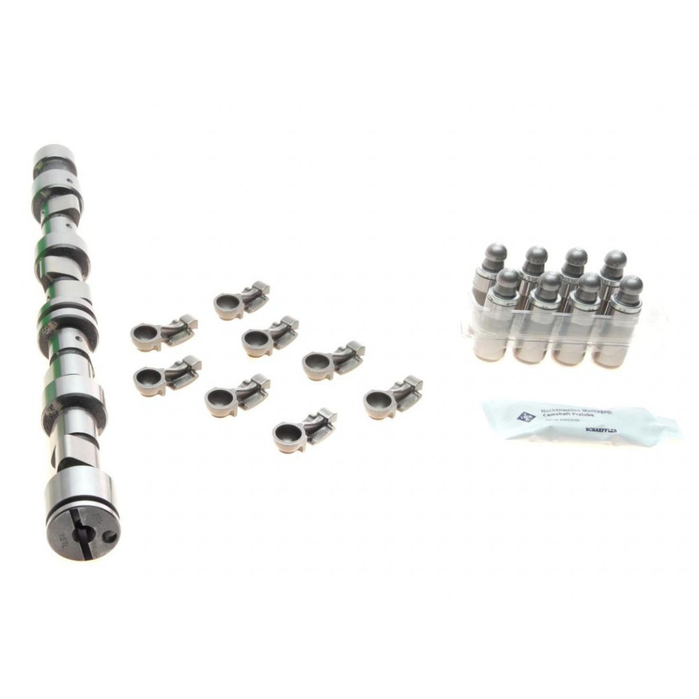 Комплект розподільчого валу Opel Astra F/G 1.6i, 55kw 91-/Vectra B 1.6i 91-03 428 0043 30 INA