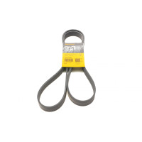 Ремень генератора Renault Megane/Scenic 1.4 09-/Honda Accord/CR-V 2.2 i-CTDi 04- 7PK1785 CONTINENTAL