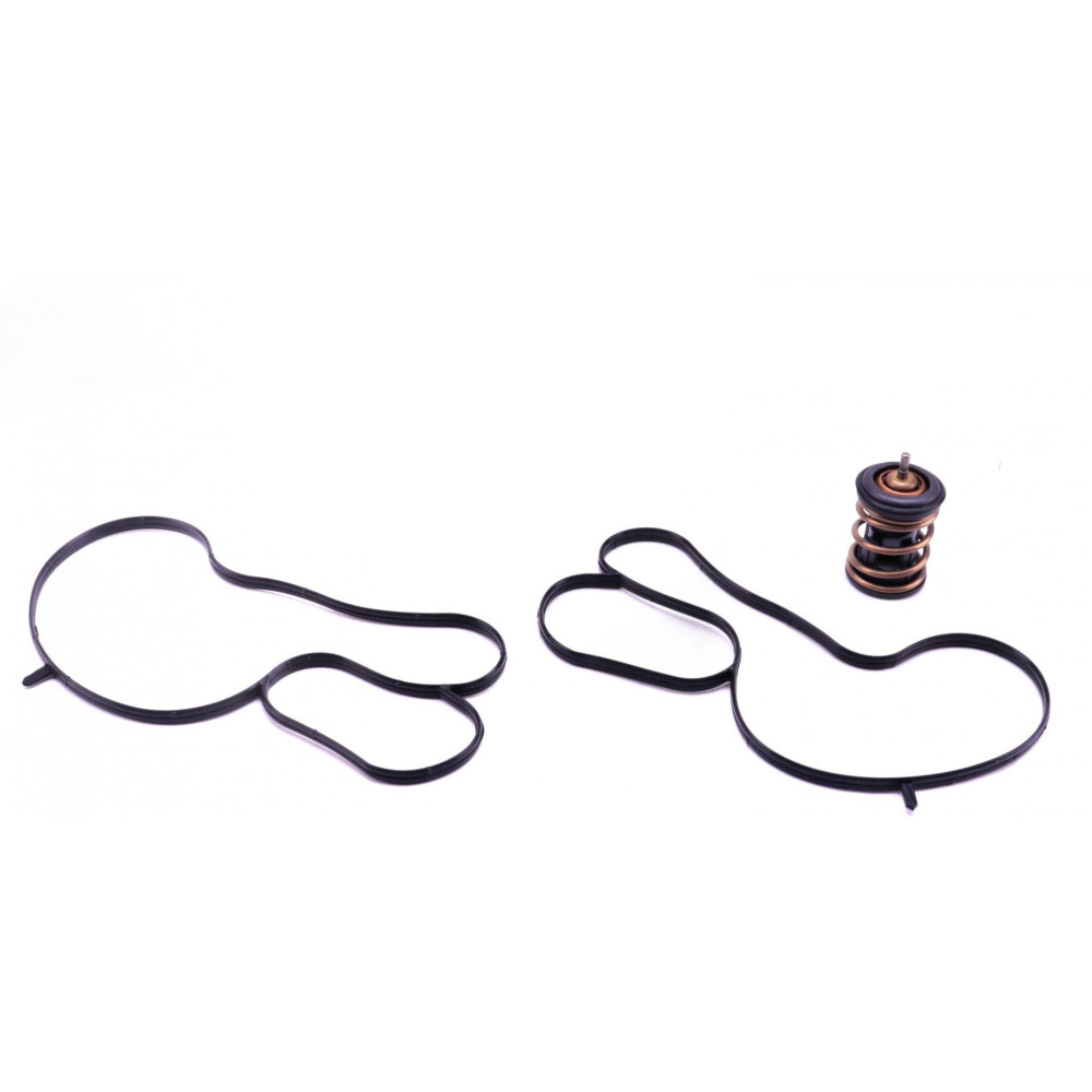 Термостат VW Caddy/Golf VII 1.2TSI/1.4TSI 12- в к-те с прокладками 973-105K MOTORAD