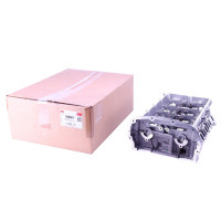 Головка блоку циліндрів з клапанами Fiat Ducato/Ford Transit 2.2TDCi 06- EURO4 908867 AMC