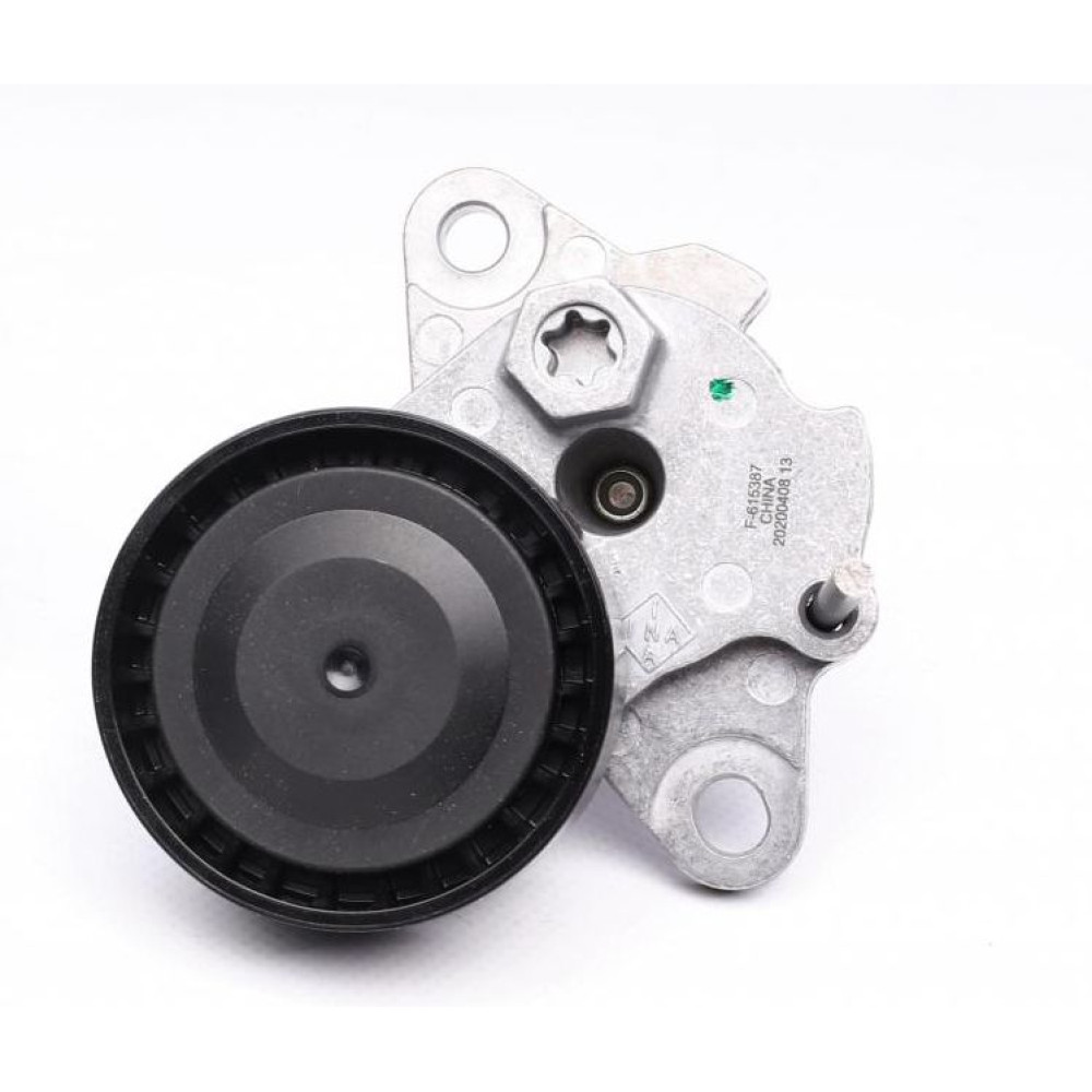 Натяжник ремня генератора VW Golf VII/Passat 2.0 TSI/GTI 13-534 0546 10 INA