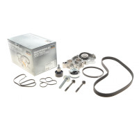 Комплект ГРМ + насос Audi A3 1.4TFSI 12-14/Seat Ibiza IV/V/Skoda Fabia III/VW Polo 1.0TSI 14- PK06740 HEPU