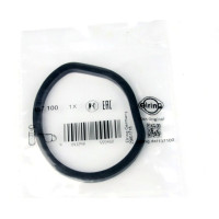 Прокладка корпуса фильтра уплотняющего масляного Mercedes Vito W639 03- / M112 137.100 ELRING