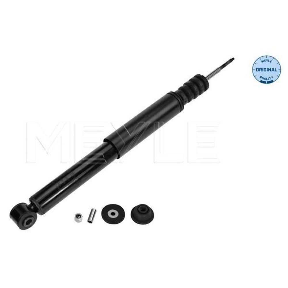 Амортизатор задній Renault Clio III 05-14/Modus 04- - 16-26 725 0009 MEYLE