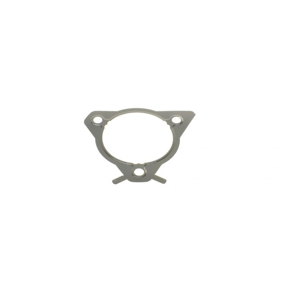 Прокладка топливного насоса Ford Connect 1.8Di/TDCI 02- ES 21417 ARI DP