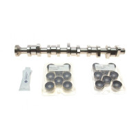 Комплект розподільчого валу VW T5 2.5 TDI 03-09, 96/120/128kw, BNZ,AXD,BPC,AXE,BLJ 428 0040 30 INA