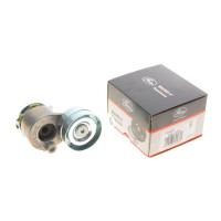 Натяжник ременя генератора Renault Scenic/Megane II/III 1.9dCi/2.0 16V 03- T38428 GATES