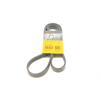 Ремень генератора Ford Transit 2.3 16V 00-06 RWD 6PK1955 CONTINENTAL