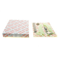 Комплект цепи ГРМ Citroen C4/C5/DS3/Peugeot 207/208/3008/308/508/5008 1.6 THP 06-59101Set AIC