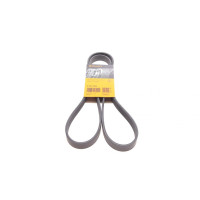 Ремень генератора Citroen Berlingo 1.6 00-08/ Nemo 1.4i 08- 6PK1560 CONTINENTAL