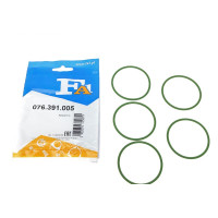 Прокладка турбіни VW Caddy 1.6TDI 09- 56х3 к-кт 5шт 076.391.005 FA1