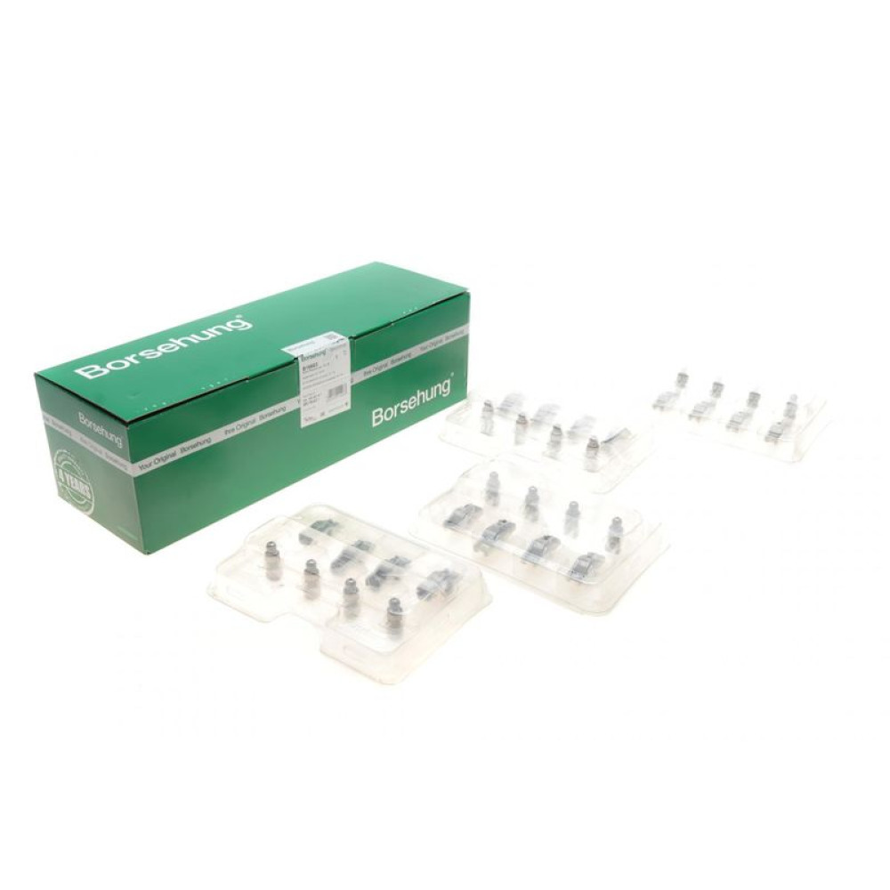 Коромисло клапана + гідрокомпенсатор VW Caddy III/IV/Crafter/T5/T6, 1.6TDI/2.0TDI 10- к-кт OE VAG B18663 BORSEHUNG