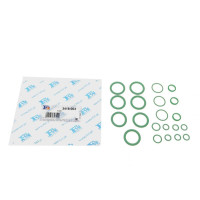 Укладка компрессора кондиционера Renault Kangoo 1.9 dCi 97- К-кт 3418-003 FA1