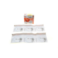 Кольца поршневые Ravon R2 1.2 16-+0.25/70.75mm 1.0x1.2x2.0 PR-RAV-47-5901-025-SET AMP