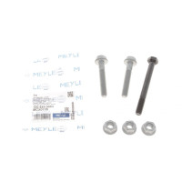Болты рычага переднего/сверху Audi A4/ A6 95-05/ VW Passat 00-05 кол-кт - 100 654 0000 MEYLE