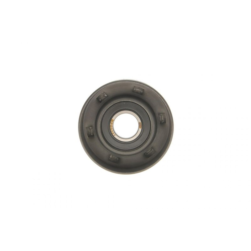 Ролик генератора Renault Clio III/Megane II//Scenic II 2.0 1.6V/1.9dCi 03- натяжной 65x30 MPQ0087 331316170087 MAGNETI MARELLI