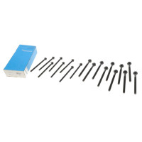 Болты головки к-кт 18шт. Ford Transit 2.2TDCI/Citroen Jumper 2.2HDI 06- - 14-32341-01 REINZ