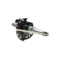 Амортизатор передний Ford Galaxy 06-15/Mondeo IV 07-15 L - 211192 SOLGY