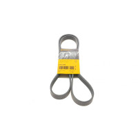 Ремінь генератора Citroen Berlingo/Peugeot Bipper/Partner 1.4/1.6 6PK1564 6PK1564 CONTINENTAL