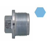 Болт зливу оливи VW LT/T4 2.5TDI 96-06 M26x1.5 220076H CORTECO