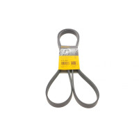 Ремінь генератора VW T4 2.0i 91-03/Opel Vectra 2.2 98-05/Toyota Avensis 1.6/1.8 00-03 6PK1900 CONTINENTAL