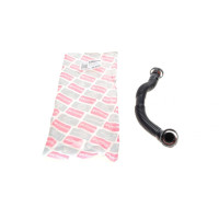 Патрубок вентиляції картера BMW X5 E53 00-06 B1825101 BOGAP