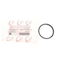 Прокладка радіатора масляного Renault Trafic 1.9 dCi F9Q - RWS1854 ROTWEISS