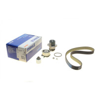 Комплект ГРМ + насос Seat Ibiza 1.9 TDI 01-09/VW Polo/Skoda Fabia 1.4/1.9TDI 03-10 CPK 25 000P MAHLE