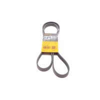 Ремень генератора Opel Astra 1.7CDTI 04-10/ Subaru Tribeca 3.0-3.6 05-/ VW Passat 3.2 05-10 6PK1623 CONTINENTAL