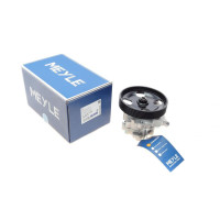 Насос ГУР Citroen Jumper/Peugeot Boxer 2.0/2.2 HDi 02-06 6PK - 11-14 631 0010 MEYLE