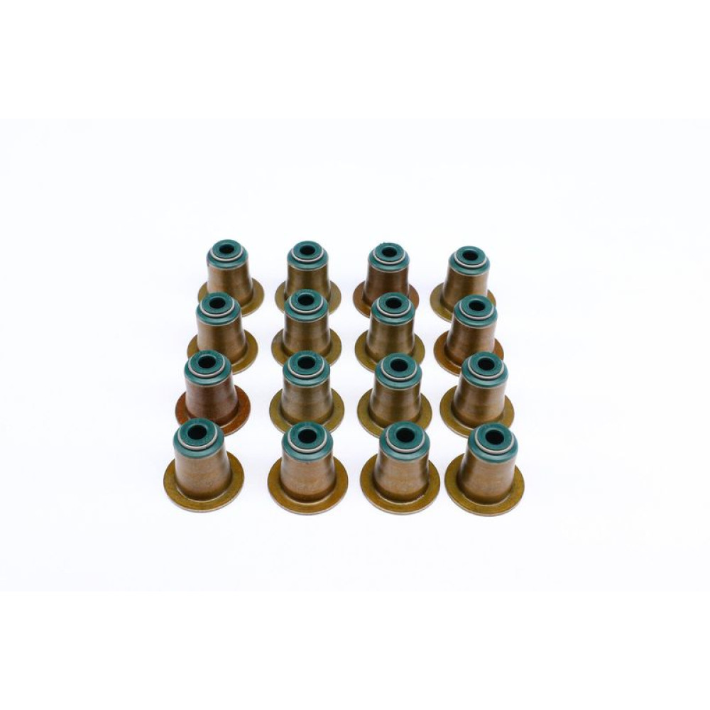 Сальник клапана впуск/випуск BMW 3 E90/5 E60 07-11 к-кт 16шт, N43 - 12-37256-02 REINZ