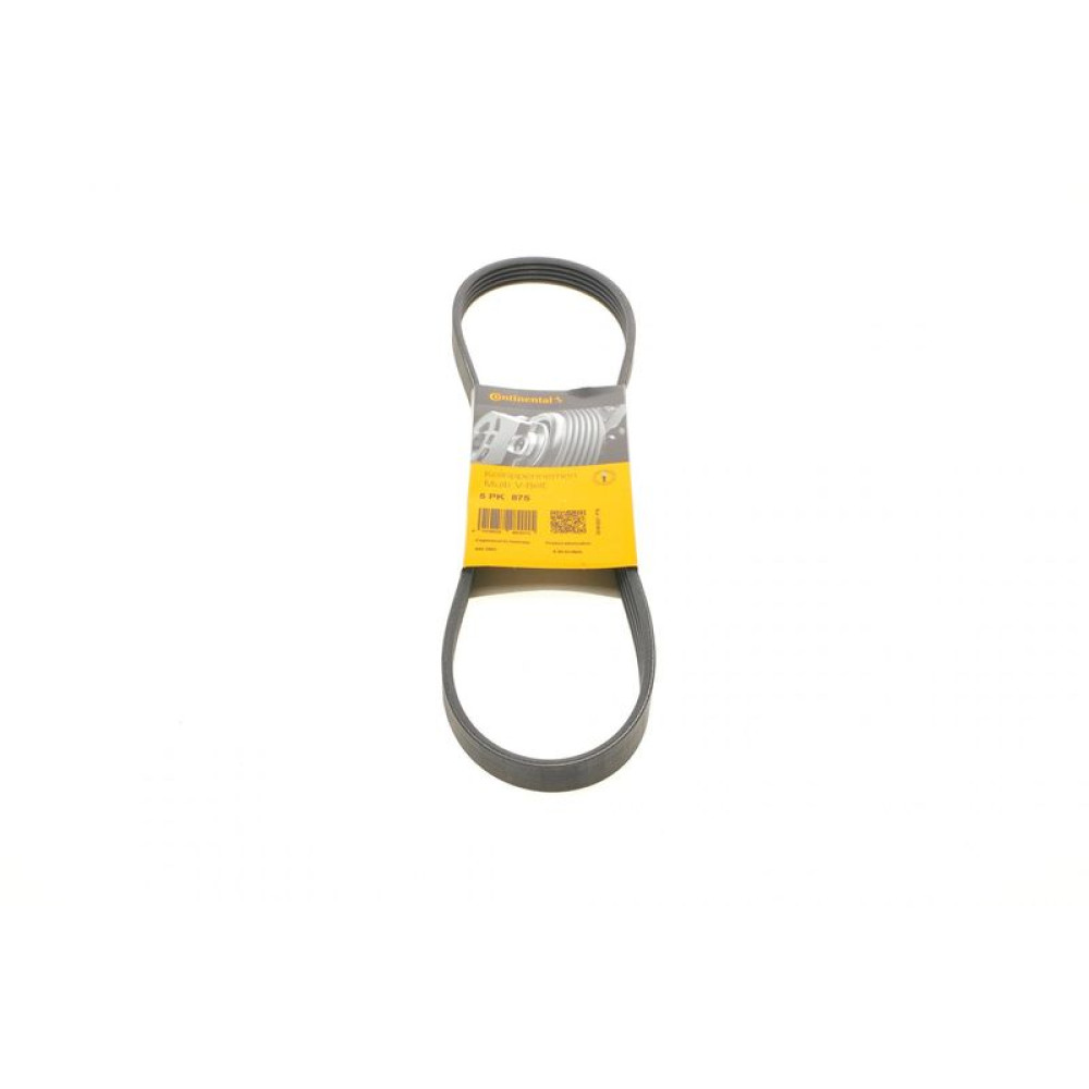 Ремень генератора Renault Kangoo 1.2i 97-/Subaru Impreza 2.0 05-07/Nissan Pathfinder 4.0 05- 5PK875 CONTINENTAL