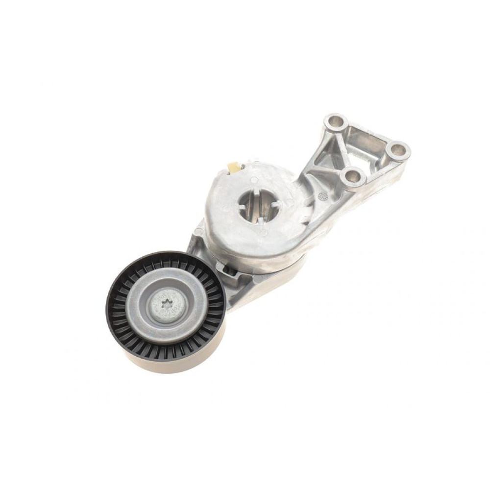 Натяжник ремня генератора VW T5 1.9TDI 03-70x24 - VKM 31011 SKF