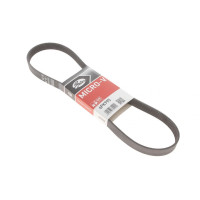 Ремень генератора Citroen Jumper/Fiat Ducato 2.8HDi/JTD 00- ALT,WP 6PK995 GATES