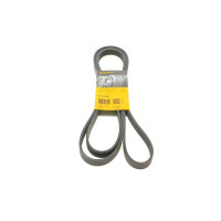 Ремень генератора Audi A8/Q7 3.0TDI 07-18 6PK2535 - 6PK2535 CONTINENTAL