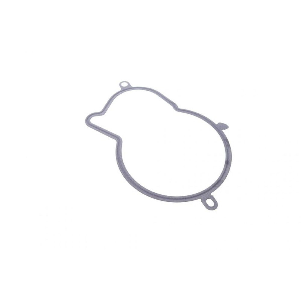 Прокладка ТНВД Citroen Jumper/Peugeot Boxer 2.0/2.2 HDi 16- 793.480 ELRING