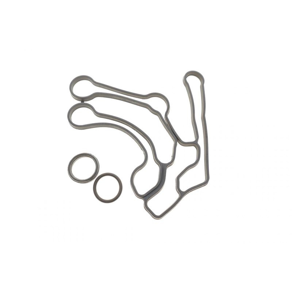 Прокладка радіатора масляного Fiat Croma/Punto 1.9 D 05- 724.580 ELRING