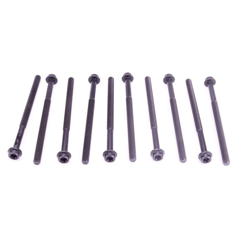 Болти головки к-кт 10шт. Ford Escort/Scorpio/Transit 2.0/2.3 85- - 14-32019-02 REINZ